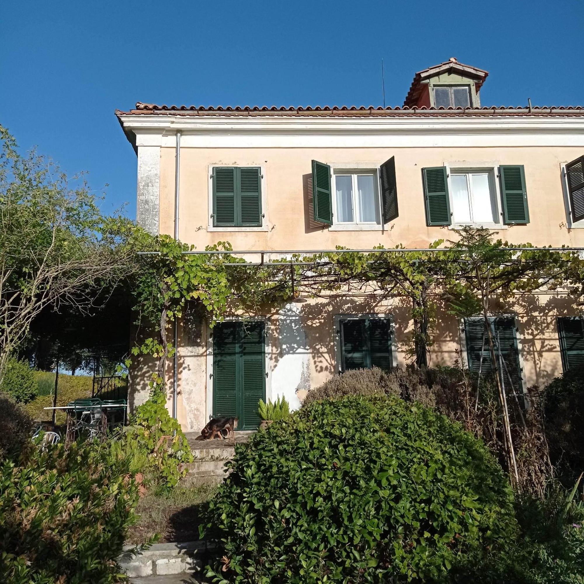 Villa Kefalomandouko Alepou Exteriér fotografie